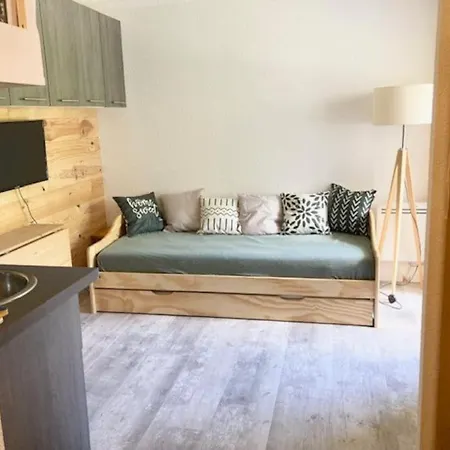 Au Pied Des Pistes Apartment *
